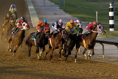 hourse riding